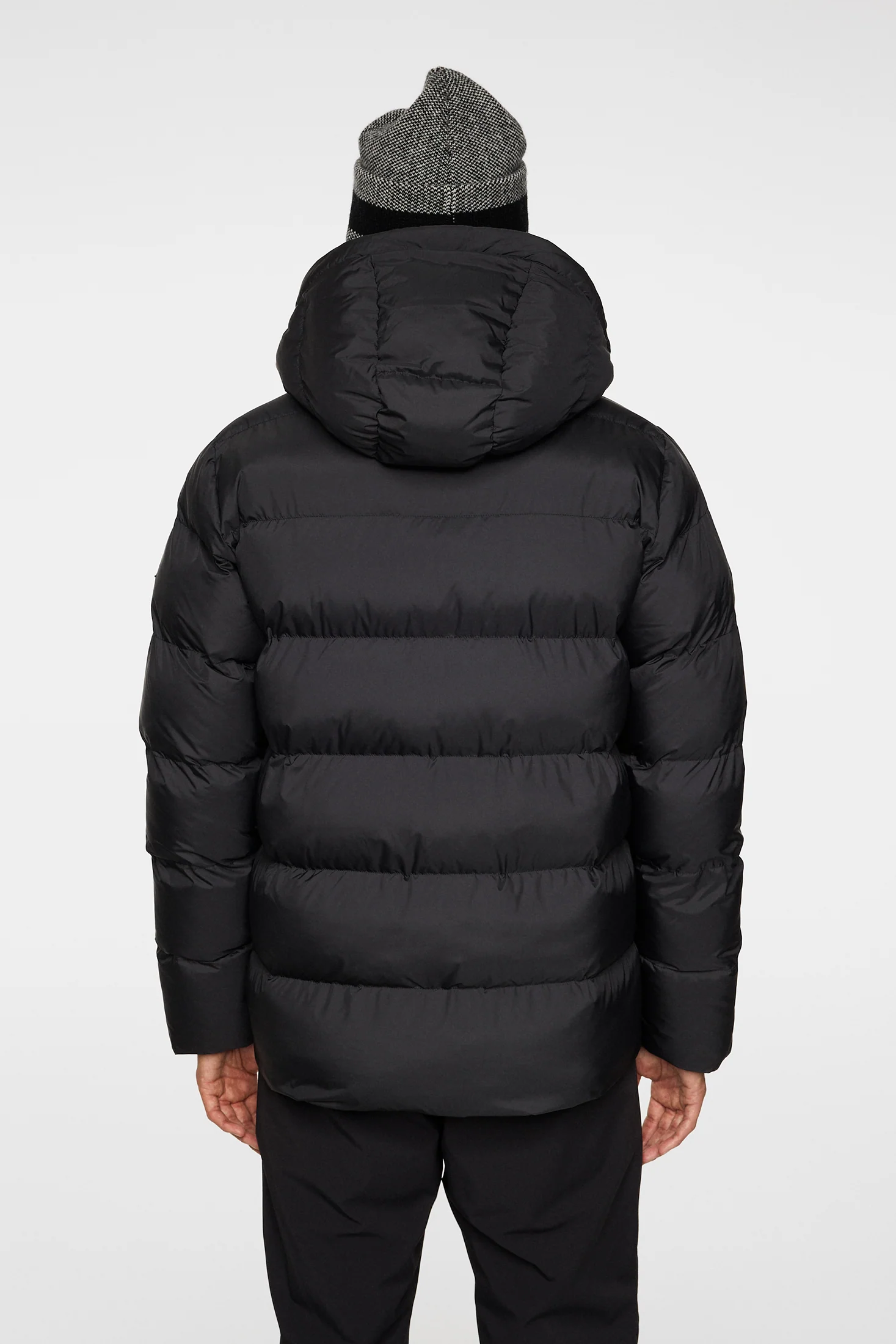 Barek Padded Jacket / Black - Image 3