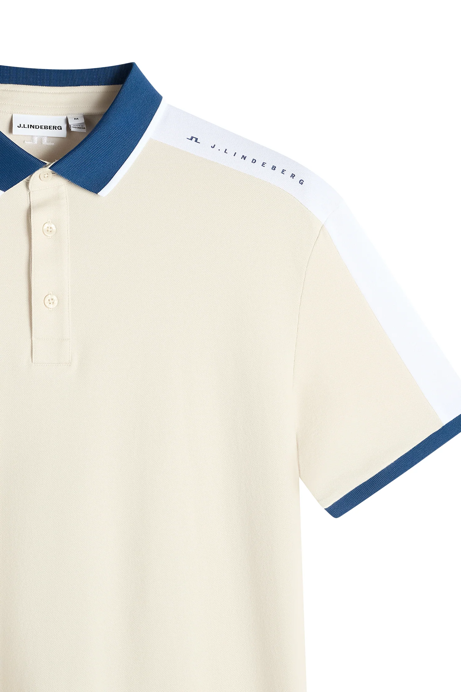 Jace Polo / Moonbeam - Image 2