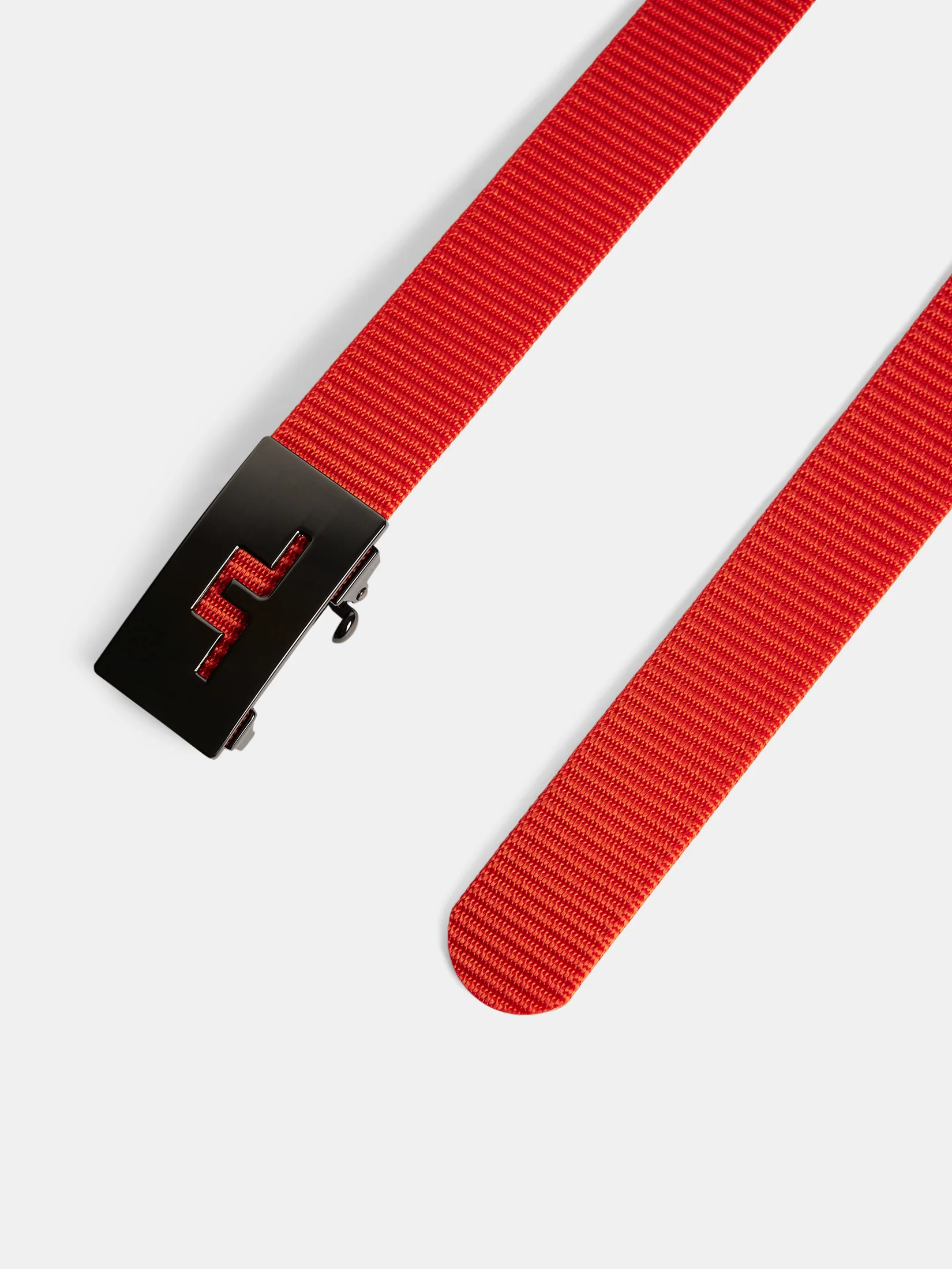 Roy Webbing Belt / Tangerine Tango - Image 2