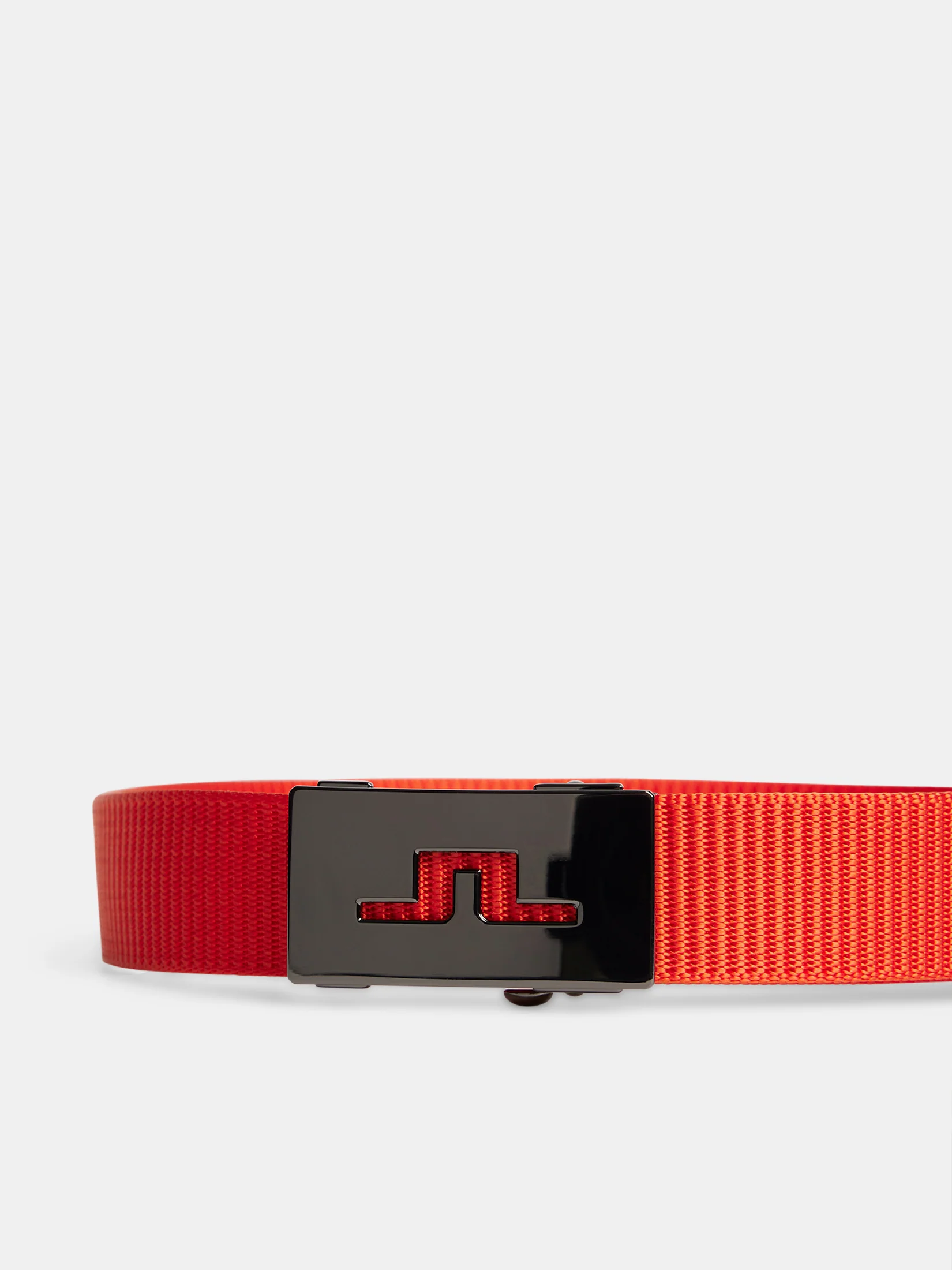 Roy Webbing Belt / Tangerine Tango - Image 3