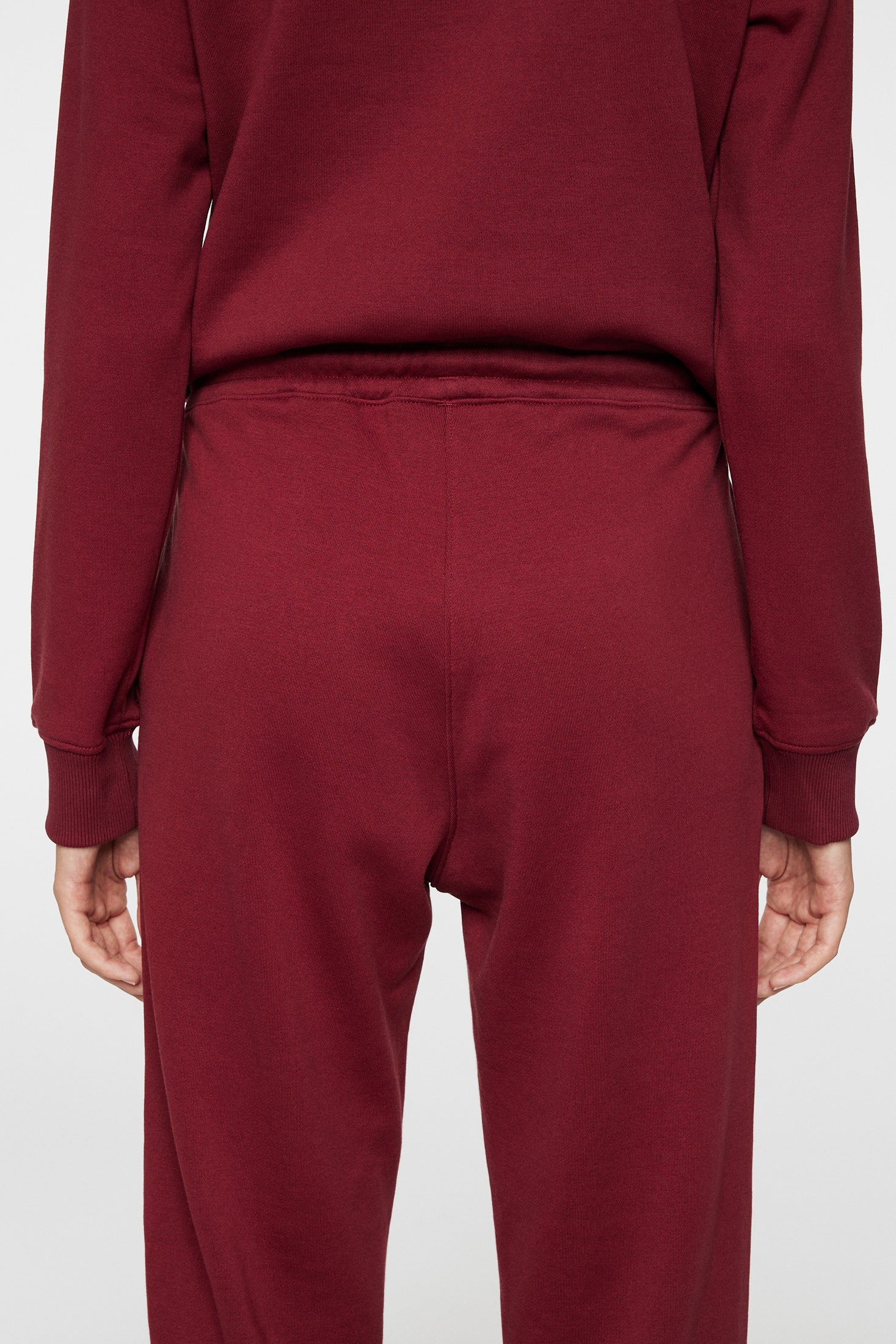 W Alpha Pant / Cabernet - Image 6
